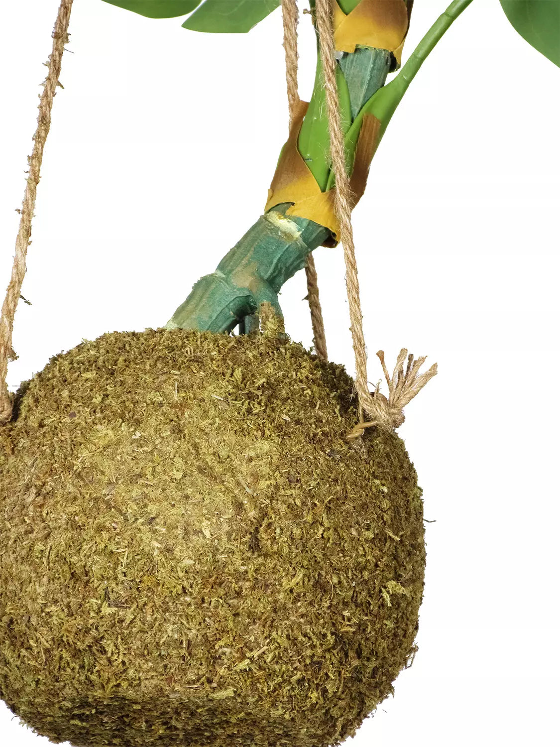 Künstliche Kokedama Monstera