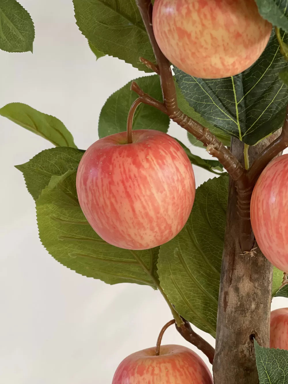 Naturnaher Apfelbaum - Mit Früchten - Natürlicher Stamm
