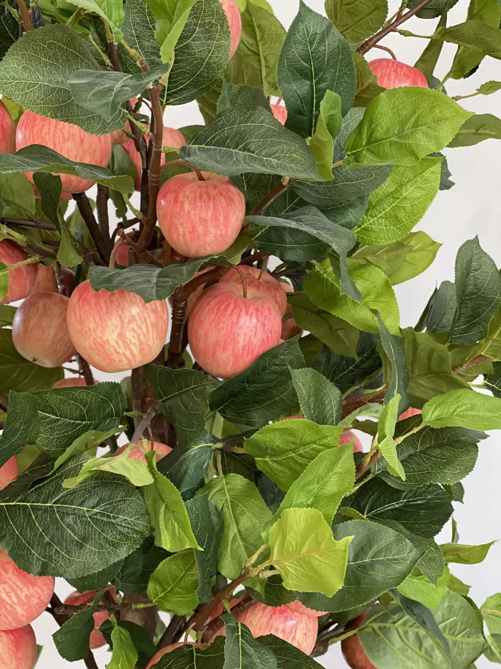 Naturnaher Apfelbaum - Mit Früchten - Natürlicher Stamm