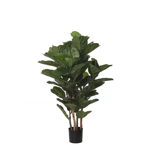 Künstliche Ficus Lyrata inkl. Topf - 165cm