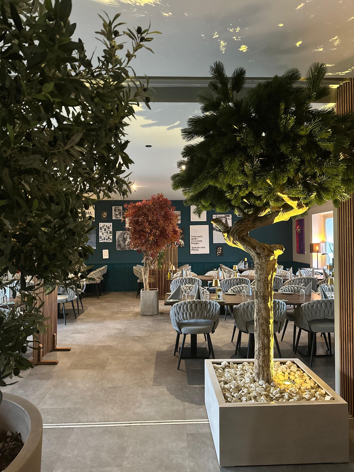 Li Pinienbaum Majestic Trunk UVR