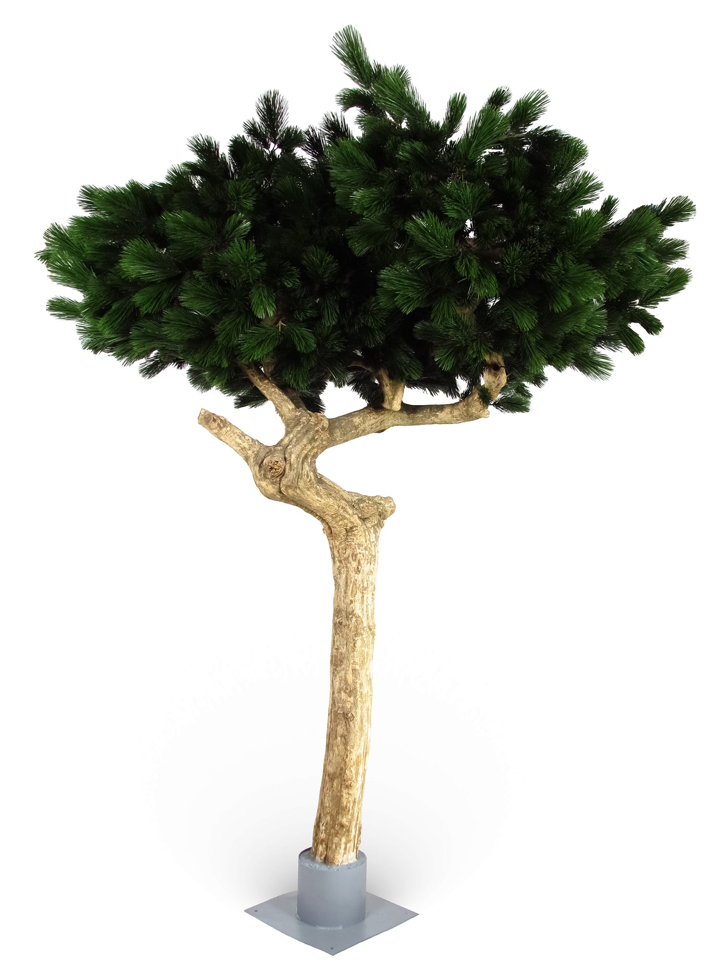 Li Pinienbaum Majestic Trunk UVR