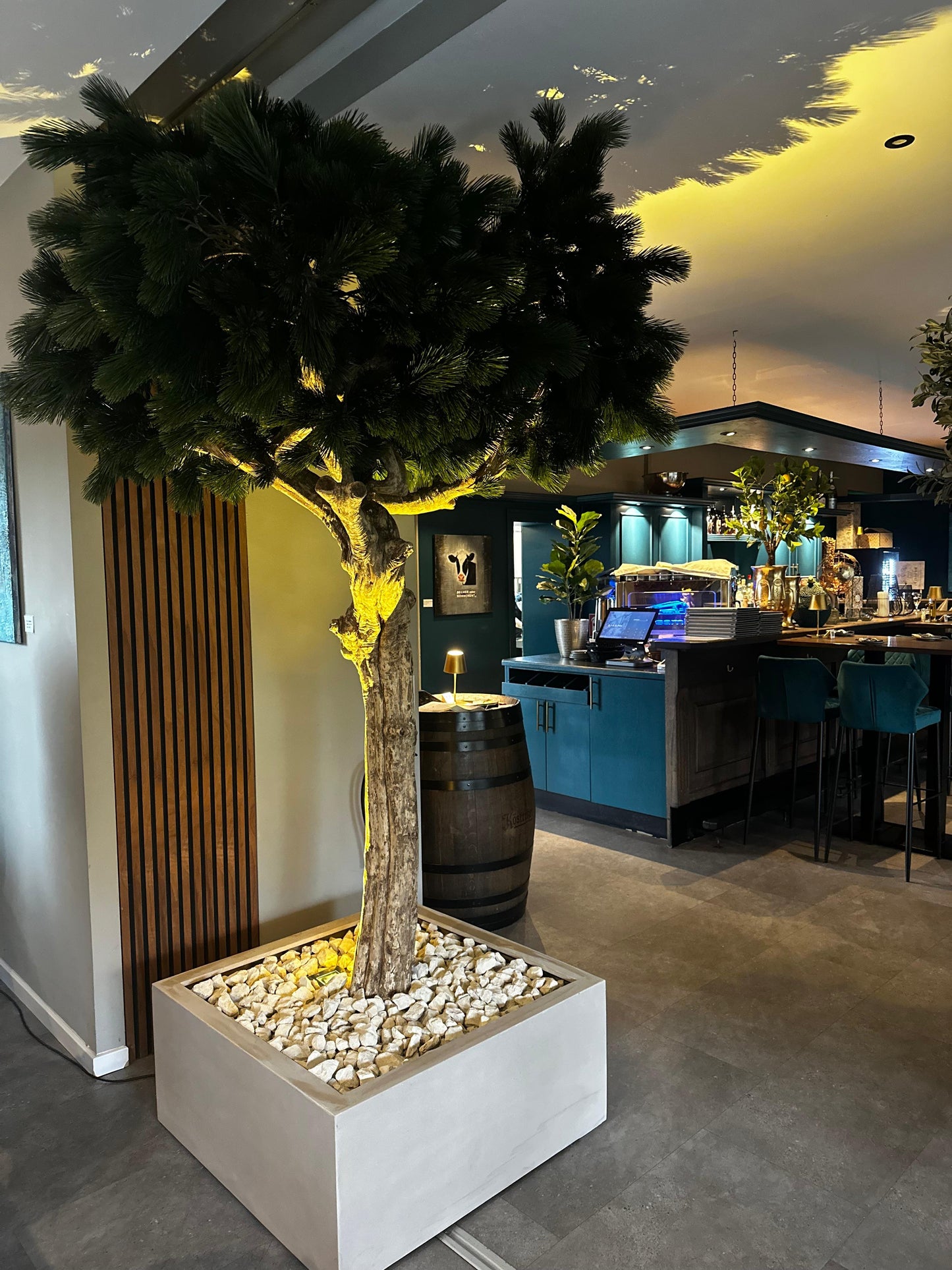 Li Pinienbaum Majestic Trunk UVR