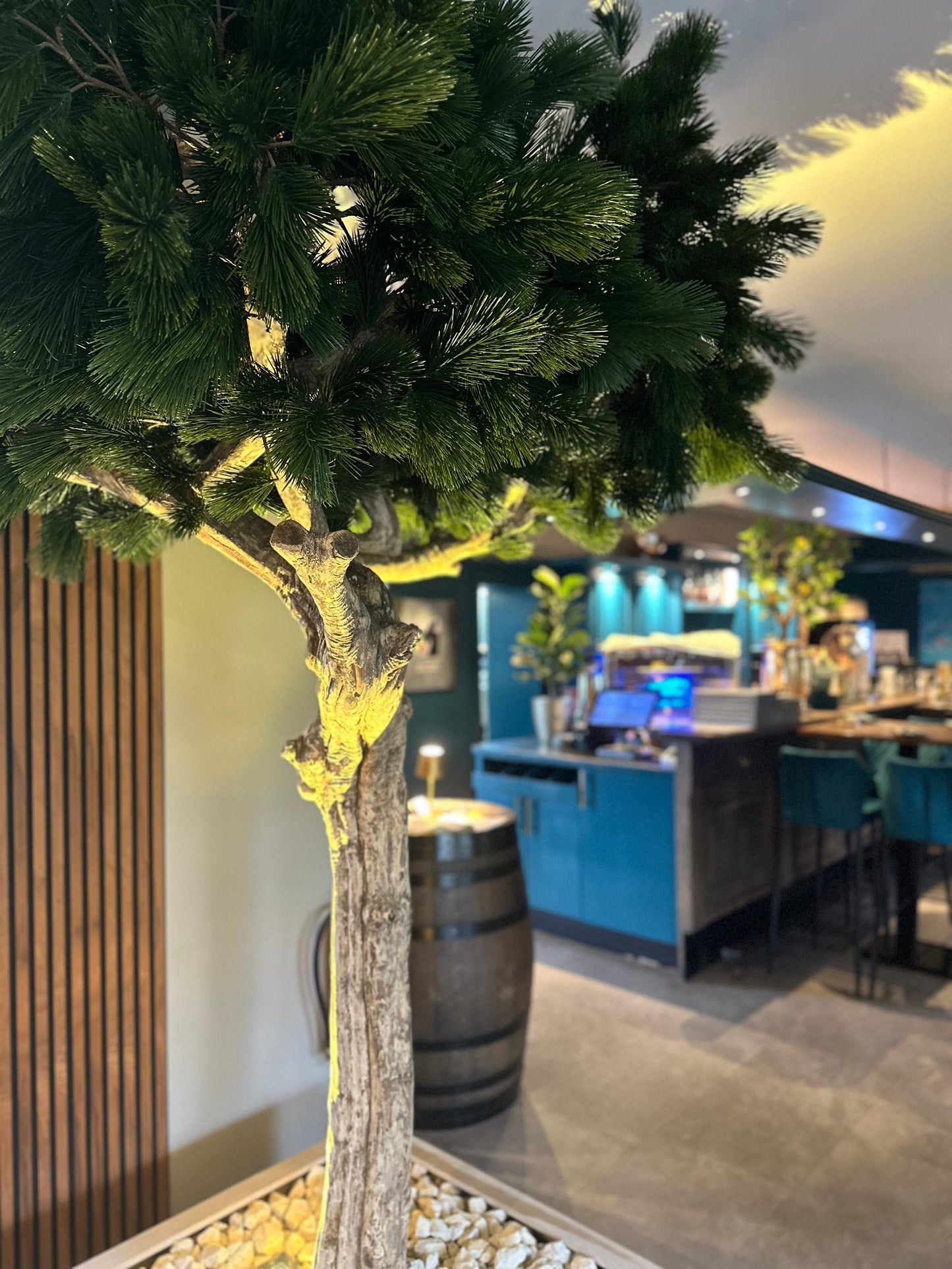 Li Pinienbaum Majestic Trunk UVR