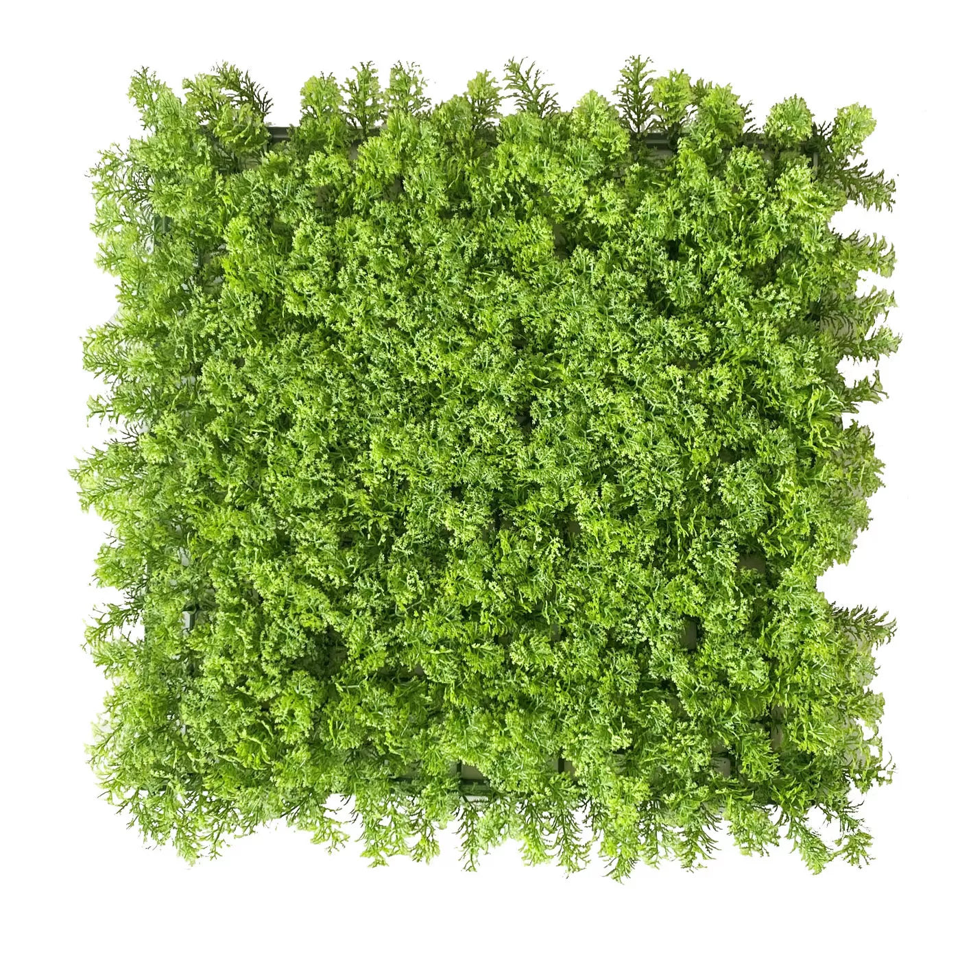 Künstliche Flechtenfliesen - 100x100cm